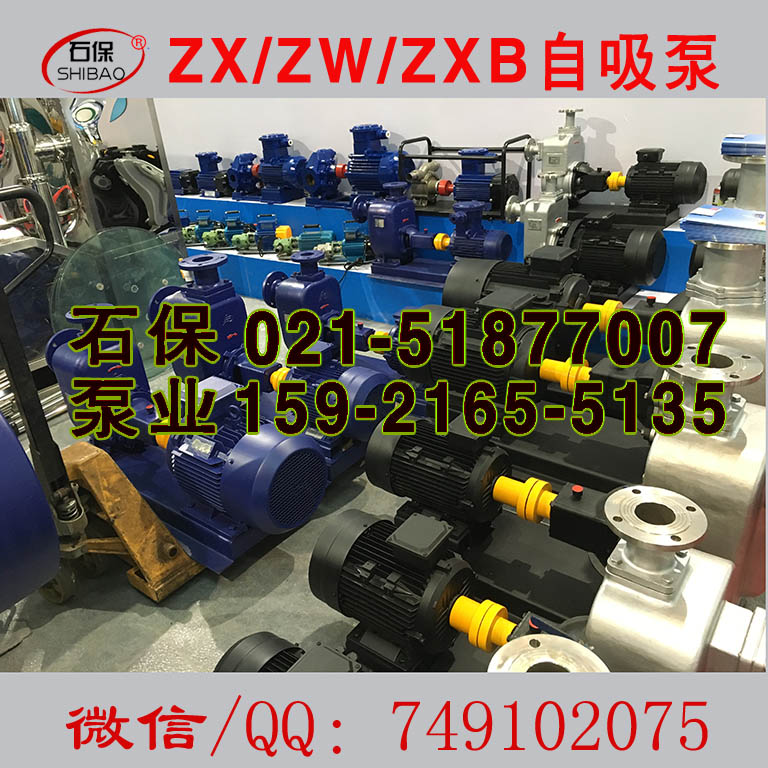 Qڏ(qing),100ZW100-20͸g