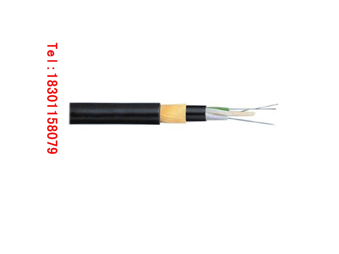 ADSS-12B1-200r(ji)
