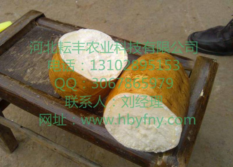 xǟ14tr ƽ14tl(f)