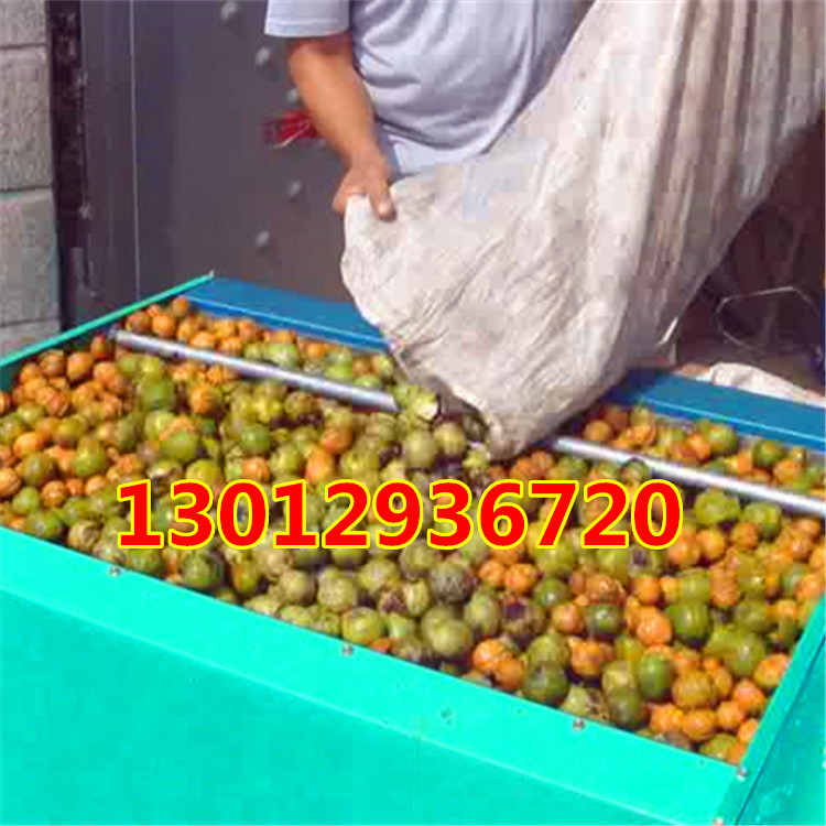 ҄ƤC ÓƤC SֱN