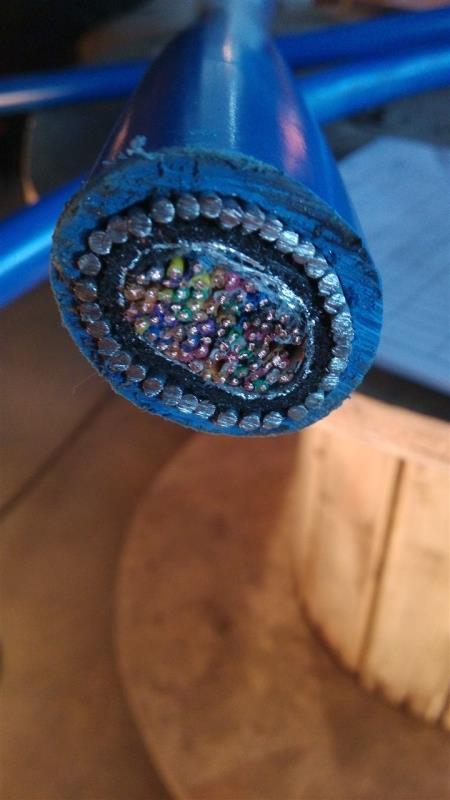 UGFVܛ|