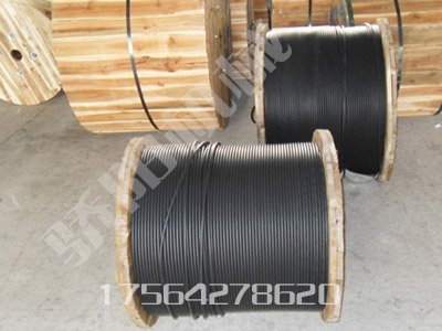 PE-ZKW-86Vȼo܈(bo)r(ji)
