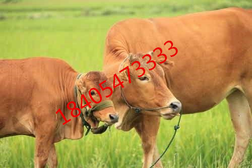 hRţr(ji)Sַ2
