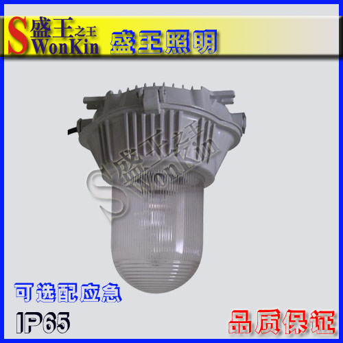 BG9850ˮm픟 400WuS