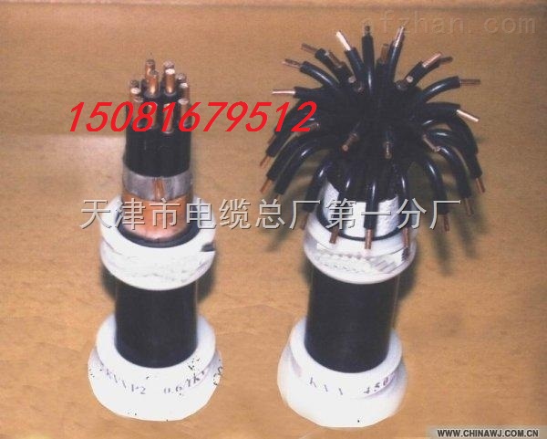 (yng)KVVP22 16*1.5