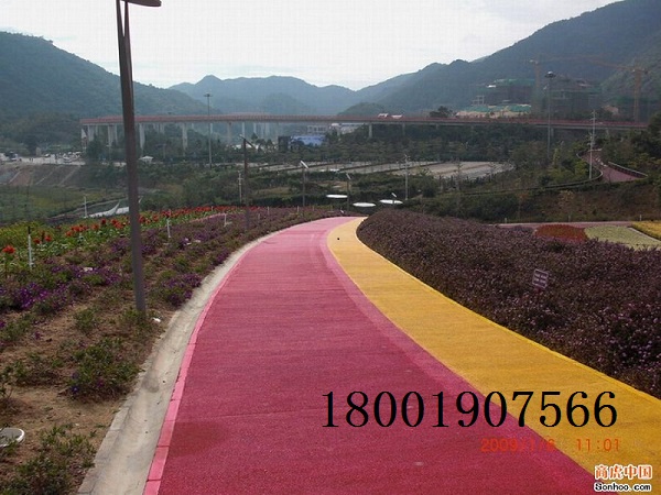 海綿城市——生態(tài)城市的守護者,彩色透水地坪