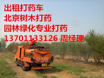 ׽С^(q)h(hun)l(wi)yЈ@־Gˮ137һ0113һ3126