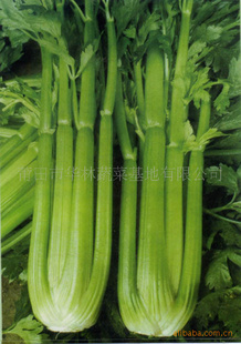 (yng)L(zhng)ڹ(yng)(yu)|(zh)