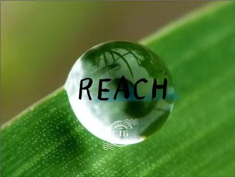 REACH233헻W(xu)J(rn)CREACHW(xu)J(rn)CM