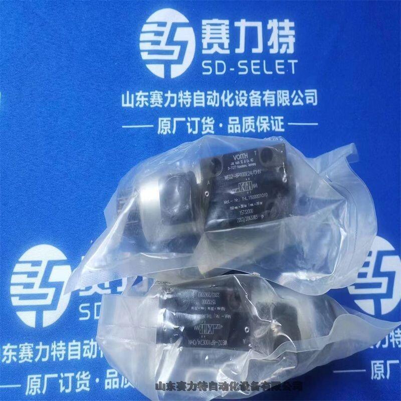 VOITH WE02-6P100E24/OHN늴y