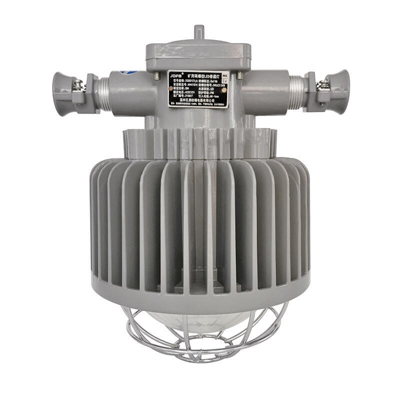 DGS50/127L 50Wled