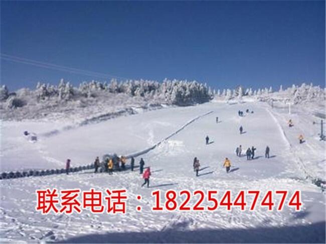 䶼ѩӖ(xn)W(xu)У