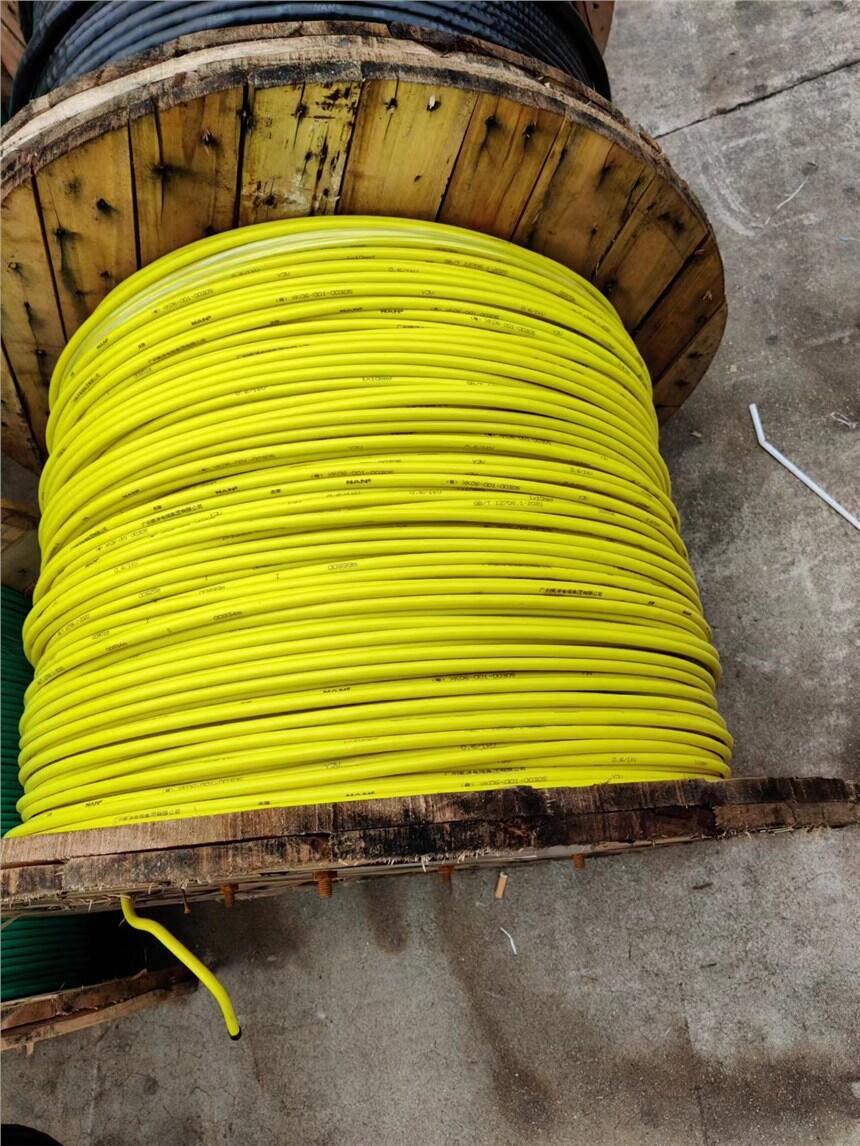V|F(tun)S(chng)ҹ(yng)YJV-0.6/1kV-1*10ϵ~о(lin)|