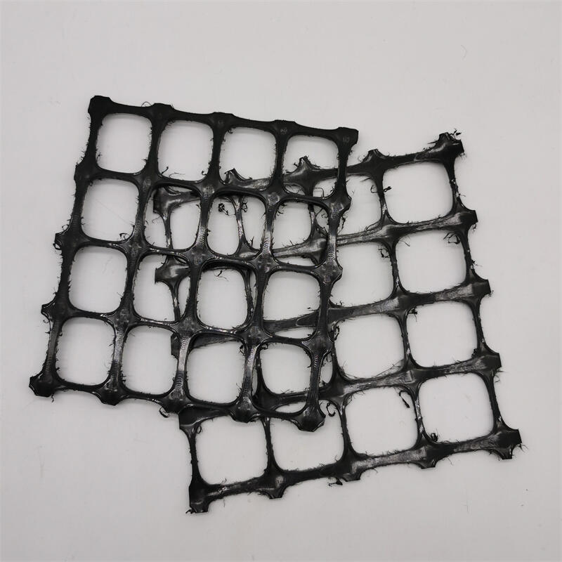 pGGR/PP/BS50-50