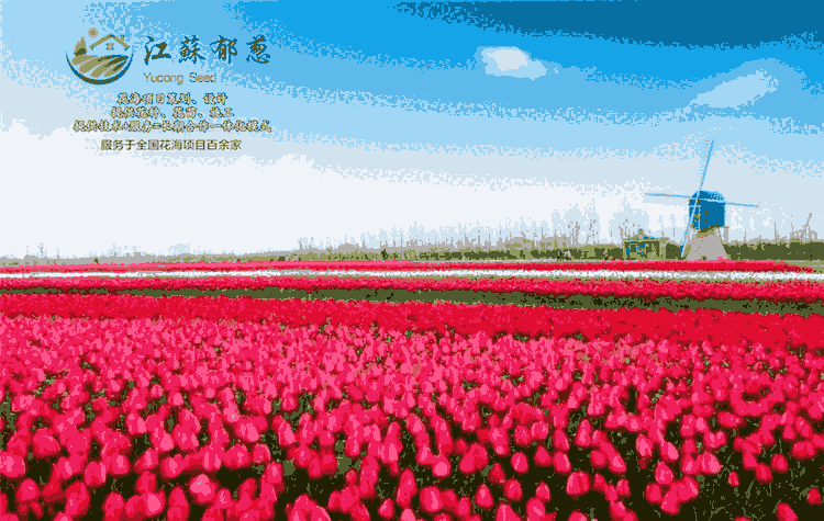 (ni)ɹųдO(sh)Ӌ(j)˾I(y)