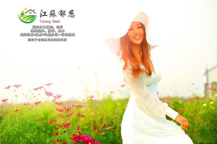ʡ|ԴлĿҎ(gu)ָʩI(y)