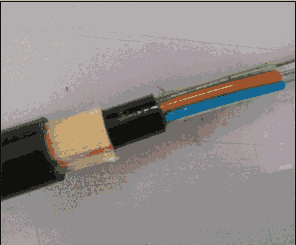 ADSS-24b1.3-300| 24оҰܿL(zhng)x SֱN