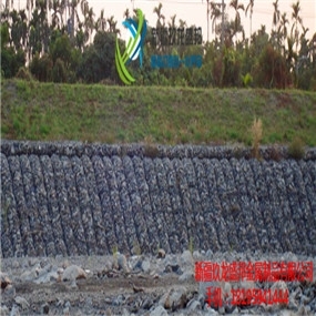 2019ʢƮaƷܸߠʯ\W