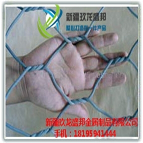 2019ʢƮa(chn)ƷQeW(wng)