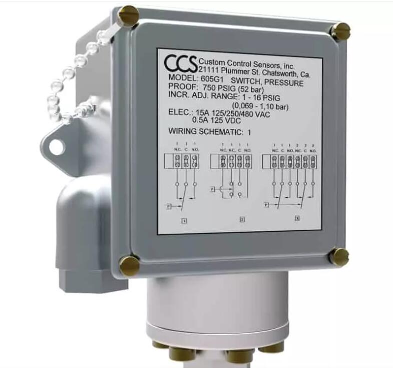 CCS_P(gun)605P12